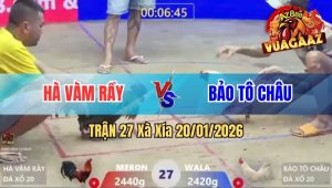 Trận 27 Xà Xía 20/01/2026