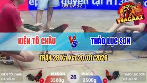 Trận 28 Xà Xía 20/01/2026
