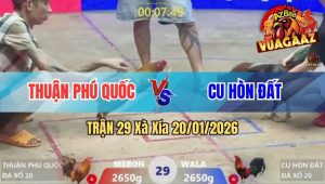 Trận 29 Xà Xía 20/01/2026