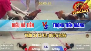 Trận 34 Xà Xía 19/01/2026