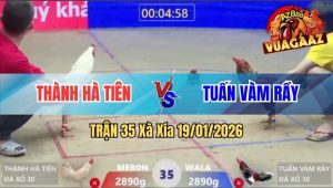 Trận 35 Xà Xía 19/01/2026