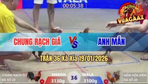 Trận 36 Xà Xía 19/01/2026