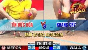 Trận 43 CPC3 15/01/2026