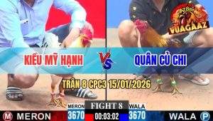 Trận 8 CPC3 15/01/2026