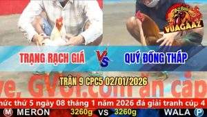 Trận 9 CPC5 02/01/2026