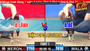 Trận 1 Bồ CPC2 4/3/2026 - Đỏ Đá Xanh Mướn Hư hết Buông Ra Xanh Đá Lại Chạy