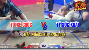 Trận 2 Bồ Xà Xía 16/3/2026 - Xanh Đá Chân Khéo Đâm Cựa Nghiệt Đỏ Chào Thua