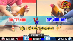 Trận 1 Bồ CPC3 14/3/2025 - Xanh Đá Chân Nào Cũng Đâm Đỏ Vô Kính Hết Phản