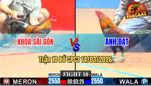 Trận 10 Bồ CPC3 14/3/2026 - Điều Đỏ Siết Tay Nước Đầu Là Có Kết Quả