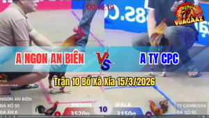 Trận 10 Bồ Xà Xía 15/3/2026 - Xanh Nhẹ Hơn 3 Chấm Giết Đỏ Chỉ Trong Tay Nước Đầu