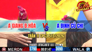 Trận 11 Bồ CPC3 5/3/2026 - Que Trâu Nhưng Điều Quá Que Xỉu Chịu Không Nổi