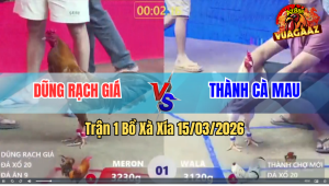 Trận 1 Bồ Xà Xía 15/3/2026 - Gà Khét Chân Nào Cũng Đâm Hạ Úa Nhanh Lẹ