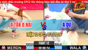 Trận 12 Bồ CPC2 4/3/2026 - Đỏ Đá Xanh Ói Xanh Đá Đỏ Nằm Tuyệt Đối