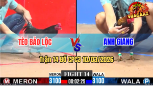 Trận 14 Bồ CPC3 10/3/2026 - Ô Đá Bo Xe Đụng Đâm Điều Cứng Mình Chạy La Miệng