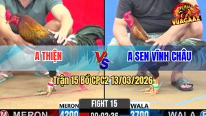 Trận 15 Bồ CPC2 13/3/2026 - Anh Sen Chấp Nửa Ký Vẫn Bờ Nhẹ Nhàng Sau 1 Tay Nước