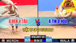 Trận 15 Bồ CPC3 5/3/2026 - 2 Con Quá Trâu Gồng Phút 90 Bỏ Mặt Hòa