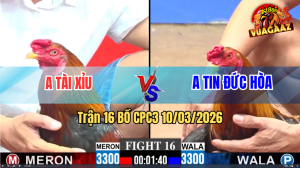Trận 16 Bồ CPC3 10/3/2026 - Xanh Bươi Chà Như Cái Máy Đâm Đỏ Gục Hết Sửa