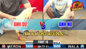 Trận 16 Bồ CPC2 14/3/2026 – Nu Đồng Tháp Nhây Nhưa Với Anh Dự Vũng Tàu Tới Phút 90
