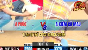 Trận 17 Bồ CPC2 13/3/2026 - Bướm Lên Chân Vàng Nằm Tại Chỗ