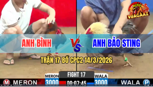 Trận 17 Bồ CPC2 14/3/2026 - Cú Hiệu Của Bảo Sting Không Bao Giờ Làm Anh Em Phải Thất Vọng