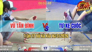 Trận 17 Bồ Xà Xía 16/3/2026 - Đỏ Đá Như Mẹ Chồng Đánh Nàng Dâu Hạ Xanh Gọn Gàng