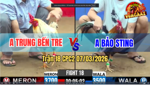 Trận 18 CPC 2 7/3/2026 - Bướm Cọp Siết 1 Tay Nước Đâm Bông Cứng Mình Chạy