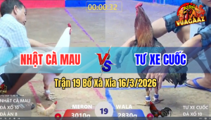 Trận 19 Bồ Xà Xía 16/3/2026 - Đỏ Đá Chân Nào Cũng Đâm Hạ Xanh Ngoạn Mục