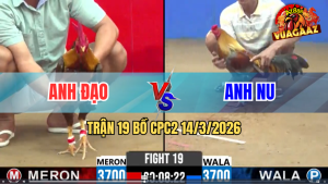 Trận 19 Bồ CPC2 14/3/2026 - Xám Cọp Nu Đồng Tháp Đâm Như Chĩa Hạ Gà Đỏ Phát Một