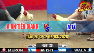 Trận 20 CPC 2 7/3/2026 - Bướm Đá Như Cây Đâm Úa Cứng Mình Xỉu Hết Sửa