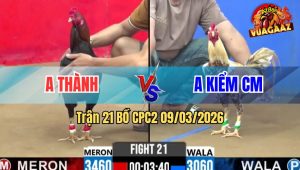 Trận 21 Bồ CPC2 9/3/2026 - Bướm Chấp 4 Chấm Chở Điều Nhẹ Nhàng