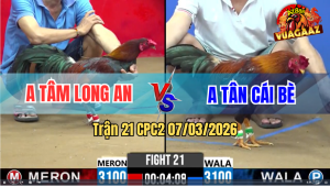 Trận 21 CPC2 7/3/2026 - Xanh Đi Bạc Cho Cố Buông Ra Đỏ Siết Mấy Chân Hư Hình