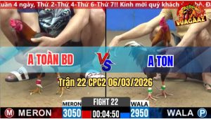 Trận 22 Bồ CPC2 6/3/2026 - Xám Ra Chân Là Đâm Điều Cứng Hết Mình Té