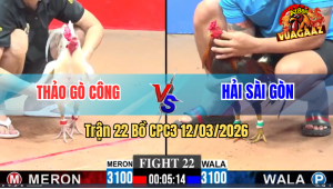 Trận 22 Bồ CPC3 12/3/2026 - Bướm Chân Trăng Nạp Siết Đâm Điều Té Tại Sân