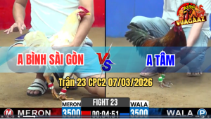 Trận 23 CPC2 7/3/2026 - Que Quá Trâu Gồng Phút 90 Đâm Úa Té