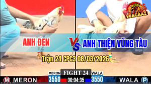 Trận 24 CPC3 8/3/2026 - Bướm Mồng Lá Đá Cây Ngay Đầu Đỏ Té Tuyệt Đối