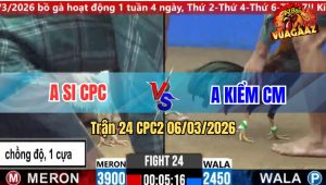 Trận 24 Bồ CPC2 6/3/2026 - Chấp Gần 1 Ký Rưỡi Anh Kiểm Vẫn Hạ Đẹp Đối Thủ