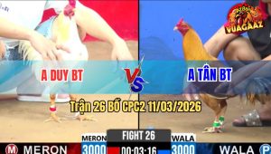 Trận 26 Bồ CPC2 11/3/2026 - Khét Chưa Thả Đá Ăn 6 Cái Kết Bị Đá Cái Đầu Chảy Máu