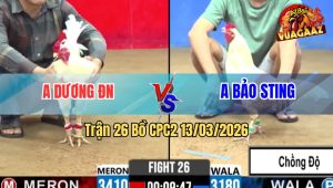 Trận 26 Bồ CPC2 13/3/2026 - Úa Cọp Idol Chồng Độ Đâm Đỏ Cây Nghiệt Ói Chết Hết Sửa