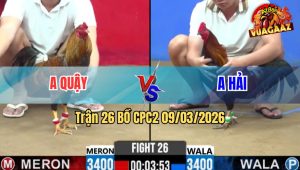 Trận 26 Bồ CPC2 9/3/2026 - Điều Đá Cú Không Kịp Tha Lơ Nhanh Gọn