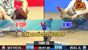 Trận 26 Bồ CPC2 14/3/2026 - Đỏ Đá Chân Qua Nghiệt Rinh Anh Nu Ra Ngoài