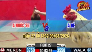 Trận 27 Bồ CPC2 9/3/2026 - Bướm Đá Điều Muốn Hư Hết Điều Đá Lại Cây Bướm Chạy