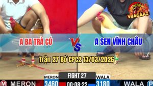 Trận 27 Bồ CPC2 13/3/2026 - Khét Điềm Tĩnh Đá Uá Anh Sen Bít Cửa