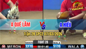 Trận 28 CPC2 7/3/2026 - Điều Lùa 1 Tay Nước Đâm Bướm Gãy Dò Rinh Ra