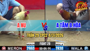 Trận 29 Bồ CPC2 4/3/2026 - Cú Đá Chân Quyết Định Đâm Điều Lật Xe Đầy Bất Ngờ