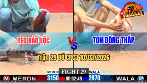 Trận 29 Bồ CPC3 10/3/2026 - Xanh Dí Bac Ăn 6 Buông Ra Đỏ Đá Té Tại Chỗ