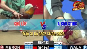 Trận 31 Bồ CPC2 13/3/2026 - Tài Nghệ Anh Bảo Không Cứu Được Trận Thua Cho Đội Nhà