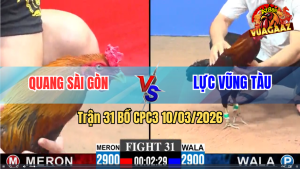 Trận 31 Bồ CPC3 10/3/2026 - Điều Đá Que Lấy Tiền Mua Xe