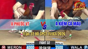 Trận 32 Bồ CPC2 11/3/2026 - Bướm Chấp 5 Chấm Vẫn Chở Điều Nhẹ Nhàng