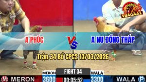 Trận 34 Bồ CPC2 13/3/2026 - Chấp 3 Chấm Anh Nu Hạ Đối Thủ Sau 1 Chân
