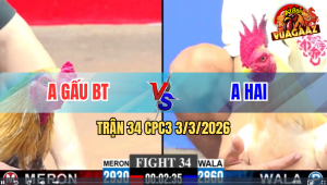 Trận 34 Bồ CPC3 3/3/2026 - Đẳng Cấp Nài Gà Đỏ Cứu Bàn Thua Cho Đội Nhà